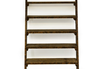 custom-ladder-shelves-dark-1