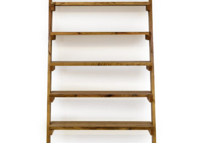 custom-ladder-shelves-light-1