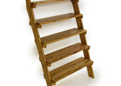 custom-ladder-shelves-light-2